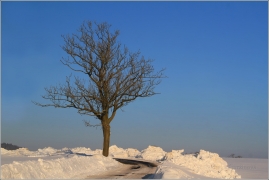 <p>Šluknovsko - Království</p>